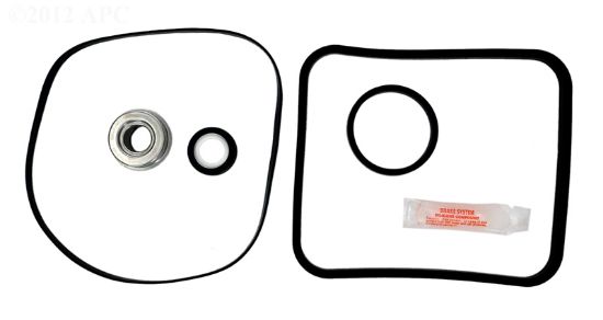 SUPER PUMP REPAIR KIT APCKIT3 WITH OZONE 3868 SEAL APCK1024A