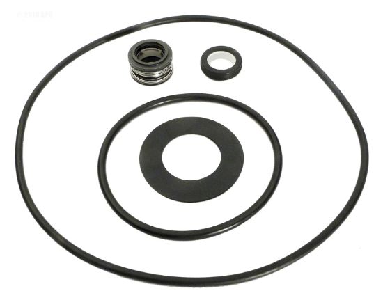 PUREX C-SERIES REPAIR KIT APCKIT31 APCK1026