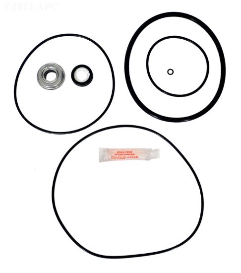 WHISPERFLO REPAIR KIT APCKIT32 WITH 3865 OZONE SEAL APCK1027A