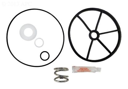 SP715 MULTIPORT VALVE REPAIR KIT 2IN WITH SPRING APCKIT39 APCKIT39