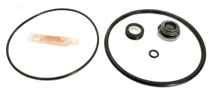 LBAY CYCLONE PUMPS REPAIR KIT APCKIT52 GO-KIT52