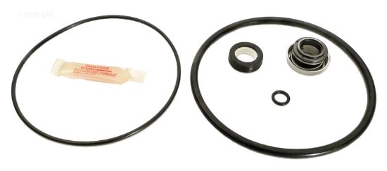 LBAY CYCLONE PUMPS REPAIR KIT APCKIT52 GO-KIT52