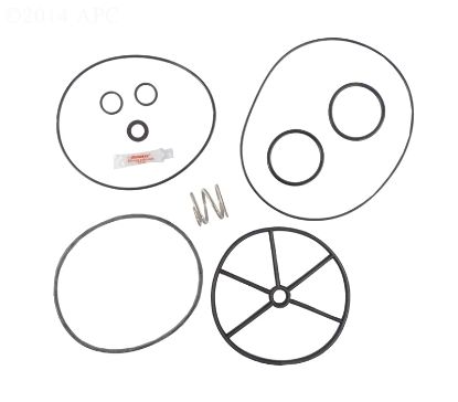PACFAB MULTIPORT VALVE 2IN KIT WITH SPRING APCKIT70 APCKIT70
