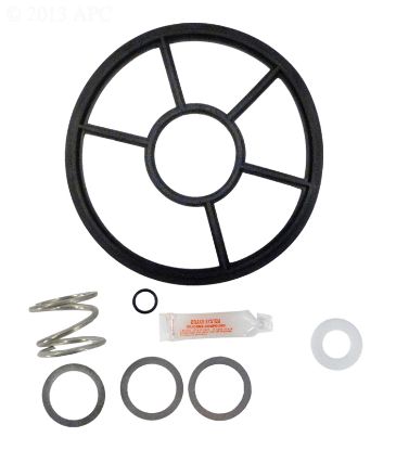 PACFAB 2IN HIFLOW VALVE KIT WITH SPRING APCK1073 APCK1073