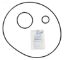 TAHITIAN O-RING KIT APCOKIT361 APCK1140