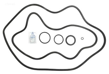 PACFAB PF35/50 O-RING KIT APCOKIT362 APCK1141
