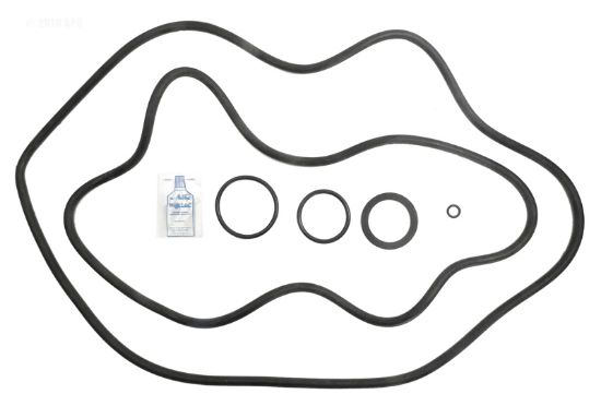 PACFAB PF35/50 O-RING KIT APCOKIT362 APCK1141