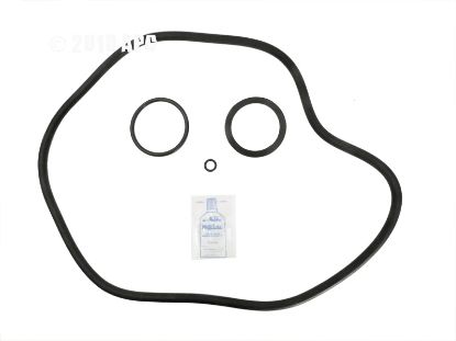 PACFAB PF100 O-RING KIT APCOKIT363 APCK1142