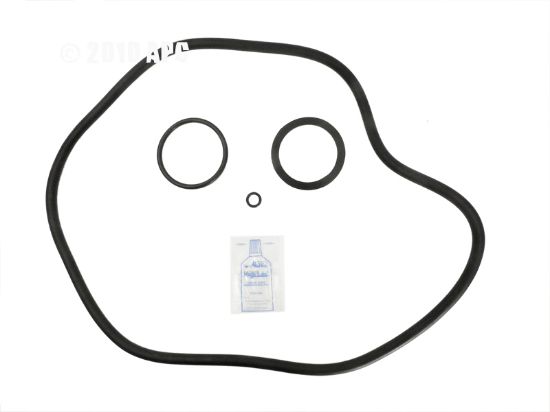 PACFAB PF100 O-RING KIT APCOKIT363 APCK1142