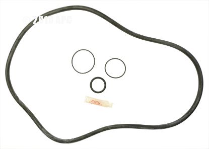 PENTAIR FNS PLUS FILTER KIT APCK1168