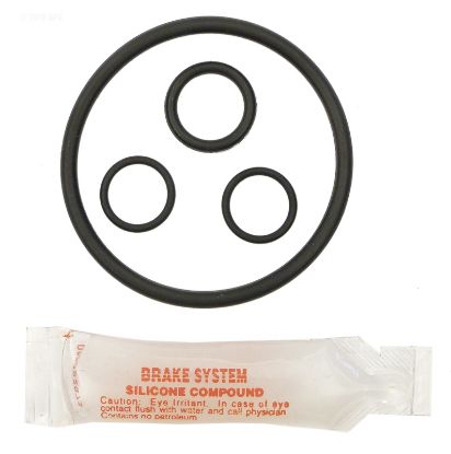 FOR CONCORD POOLS ONLY PENTAIR PUSH PULL VALVE REPAIR KIT APCK1172