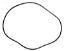 2470073 24IN TANK O-RING SWIMQUIP O106 STARITE / SWIMQUIP  O-106