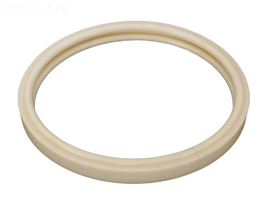 791016 AMERICAN LENS GSKT O170 PENTAIR / AMERICAN 79101600 O-170