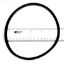 U9-229 STARITE PUMP ORING O218 PENTAIR / AMERICAN 392041  O-218