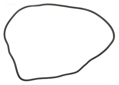 017433 ANTHONY 18IN O-RING O293 ANTHONY 17433 PENTAIR /  O-293