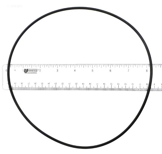 O-RING O304 DOUGHBOY 3081014 PENTAIR / PUREX P24263 071445 O-304