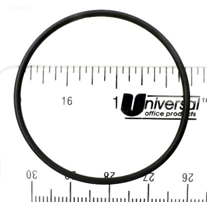 U9239 STARITE O-RING O319 PENTAIR / AMERICAN 570113 PENTAIR O-319