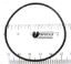U9240 STARITE 2IN O-RING O320 PENTAIR / PUREX P62034 072554  O-320