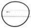 354053 PACFAB TANK O-RING O336 HAYWARD SPX0714L JACUZZI  O-336