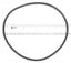 O-RING TANK PLBC PUMP O343 PENTAIR / AMERICAN 873004 STARITE APCO2170
