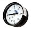 .25IN TAP 0-30# BACK MOUNT PRESSURE GAUGE APCPG3024B