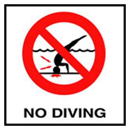 8IN NO SKID CERAMIC NO DIVING SYMBOL TILE MG SERIES INLAYS  C821500