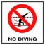 8IN NO SKID CERAMIC NO DIVING SYMBOL TILE MG SERIES INLAYS  C821500