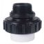 CPVC SOCKET X 2IN MIP UNION 21063-200-000