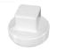 1.5IN CLEANOUT PLUG RAISED NUT DWV PVC D106-015