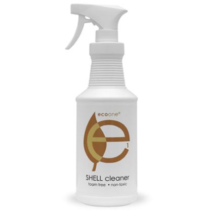 1 QT ECOONE SPA SHELL LINER CLEANSER 12/CS ECO-8029