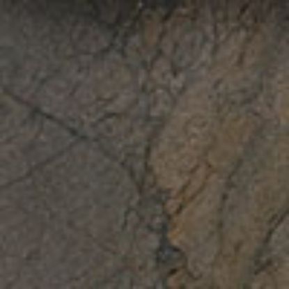 JEWEL PETROLIO 6IN X 6IN 34 PCS 8.5 SF/ CTN MASTERTILE FLO JWL PET 6