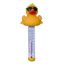 DERBY DUCK POOL THERMOMETER 7000