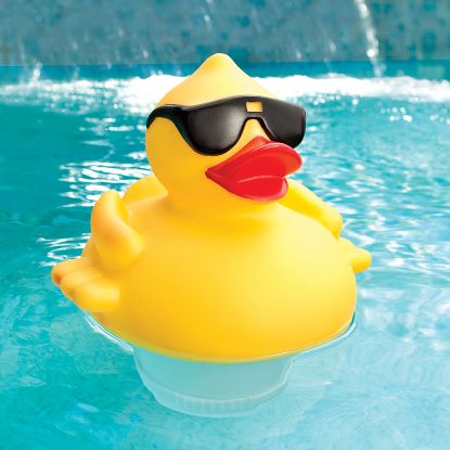 SOLAR LIGHTED DERBY DUCK CHLORINATOR 8002