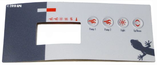 OVERLAY TSC-19-GE2 (DUAL PUMP) GECKO 9916-100219