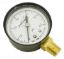 PRESSURE GAUGE .25IN MPT LOWER 2IN FACE 0 TO 60# PLASTIC  IPPG602-4L