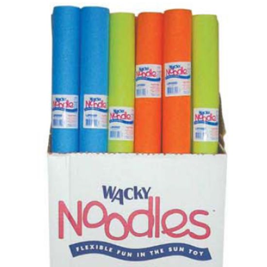 TRADITIONAL WACKY NOODLE 99-43819
