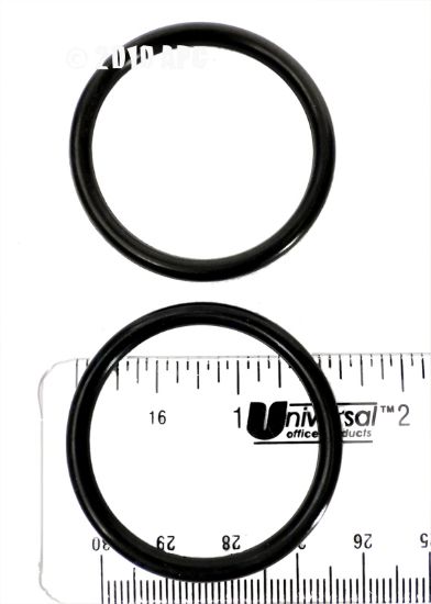 O-RING WALL FITTING PACK OF 2 E21