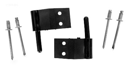 HINGE PINS FOR COMPOOL FACEPLATE (SET OF 2 LXPIN