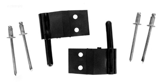 HINGE PINS FOR COMPOOL FACEPLATE (SET OF 2 LXPIN