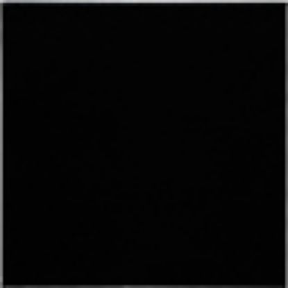 FIELD BLACK 6IN X 6IN 38 PCS 9.5 SF/ CTN GLAZED MASTERTILE MASK66995