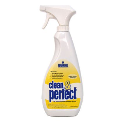 22 OZ CLEAN & PERFECT 12/CS NATURAL CHEMISTRY 176