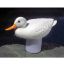 CLORI-DUCK - WHITE 32131