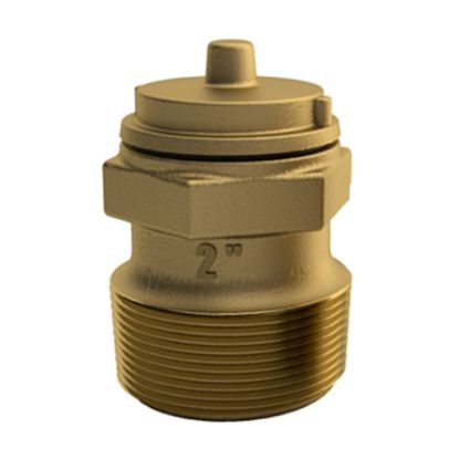 2IN MPT BRONZE HYDROSTATIC VALVE PV-20