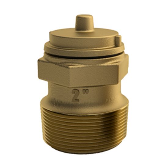 2IN MPT BRONZE HYDROSTATIC VALVE PV-20