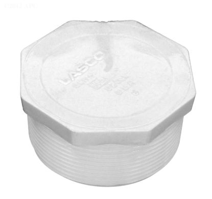 2IN MPT PLUG SCHEDULE 40 450-020