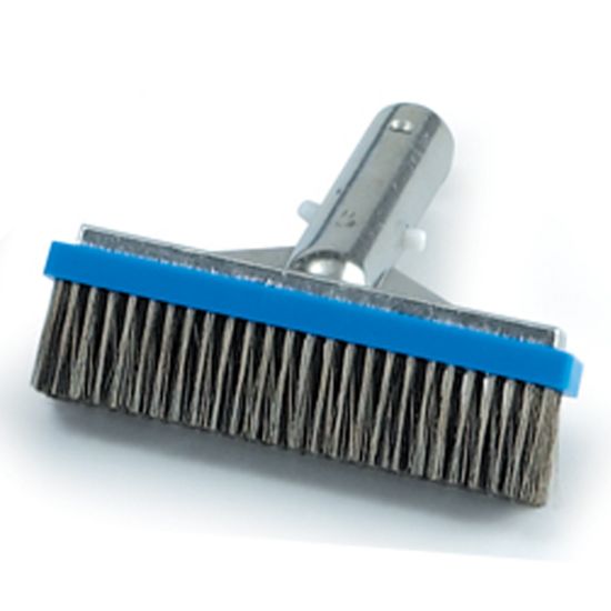 #604A ALGAE BRUSH 6 R111616