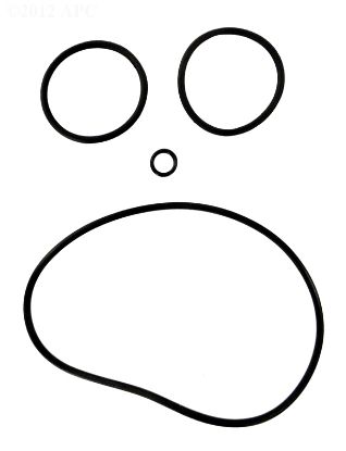 CHLORINATOR O-RING SET 8751