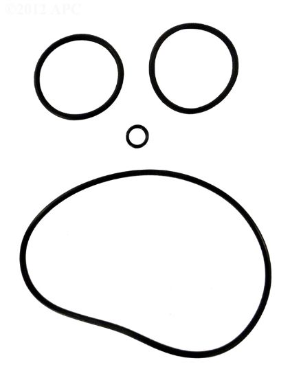 CHLORINATOR O-RING SET 8751