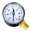 PRESSURE GAUGE 60PSI BOTTOM MOUNT 8960