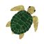 TURTLE NATURAL TOP 9IN X 9IN W/ SHADOW TILE ARTISTRY IN  TURNATTS